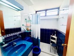 Nim Gardens (D28), Condominium #563738361